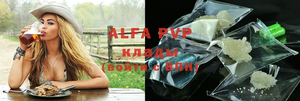 скорость Новозыбков