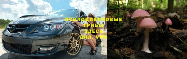 скорость Новозыбков