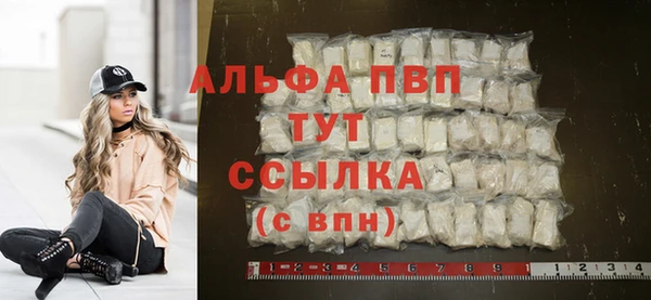 скорость Новозыбков
