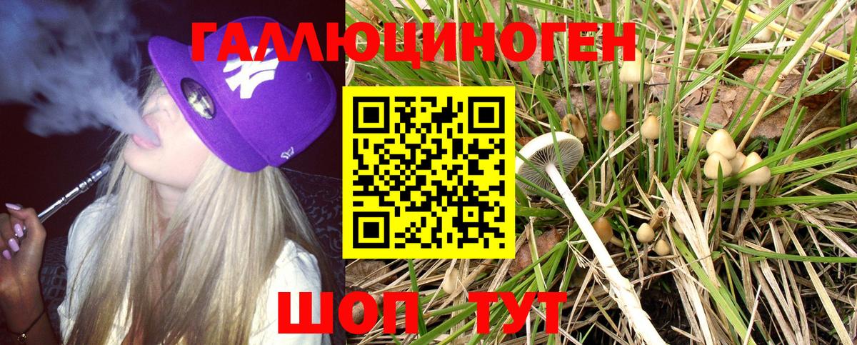 наркошоп  Туймазы  Псилоцибиновые грибы мухоморы  Галлюциногенные грибы мицелий 