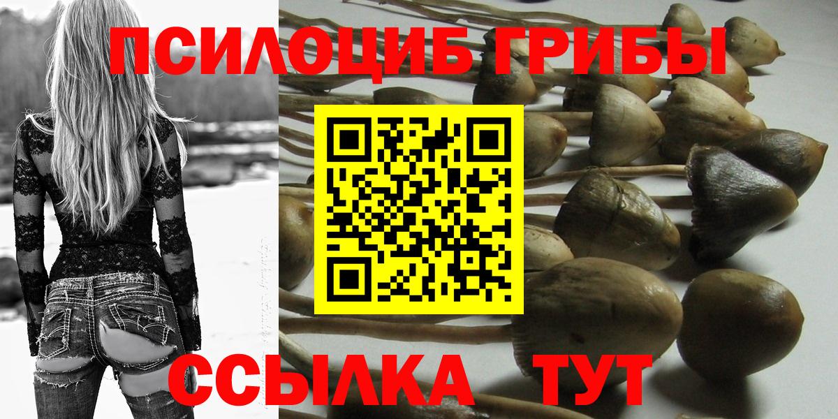 МЕФ кристаллы  МЕТАДОН  Купить наркотики цена  Лсд 25  Туймазы  ГАШ  Кокаин  Вход с VPN  Марихуана  Гашиш  Метамфетамин  Каннабис 