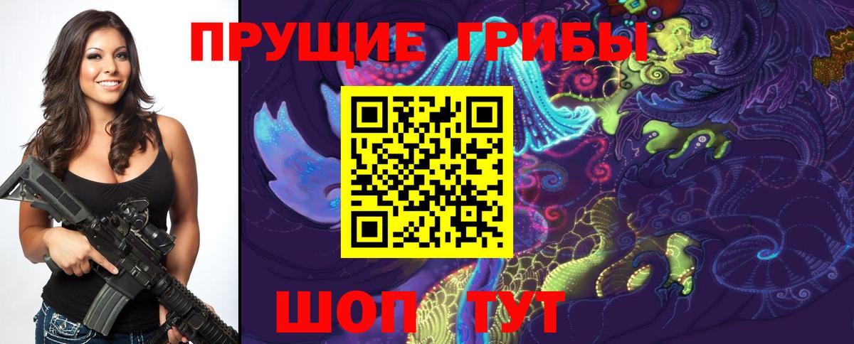 Галлюциногенные грибы прущие грибы  Вход с VPN  Туймазы  Галлюциногенные грибы прущие грибы 