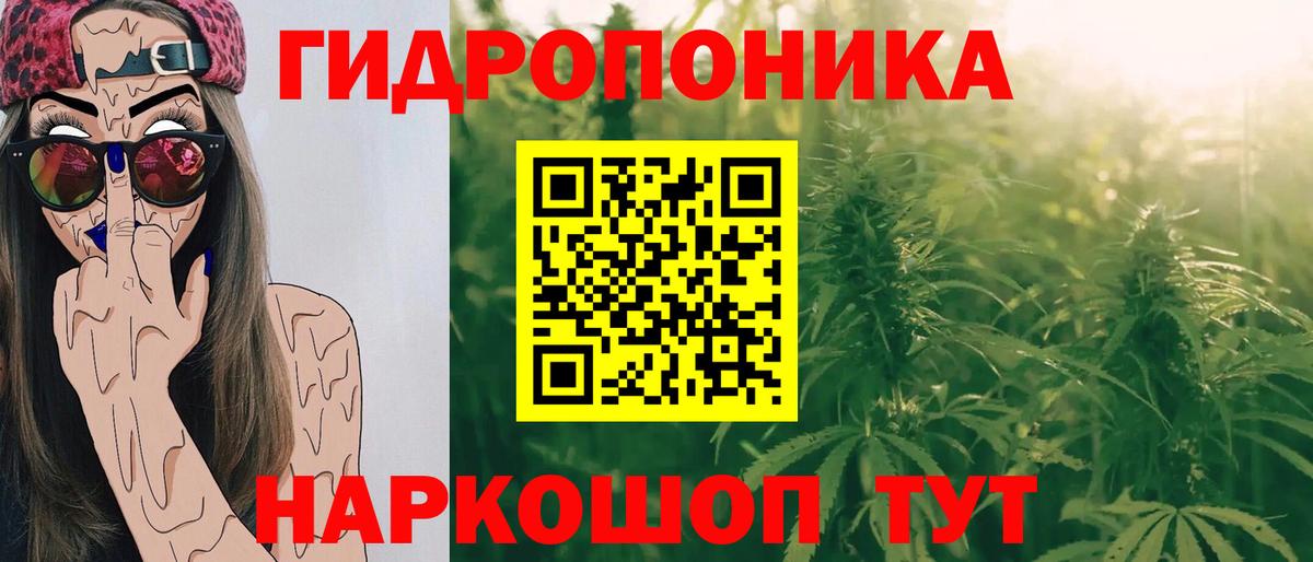 Бошки марихуана AK-47 Туймазы